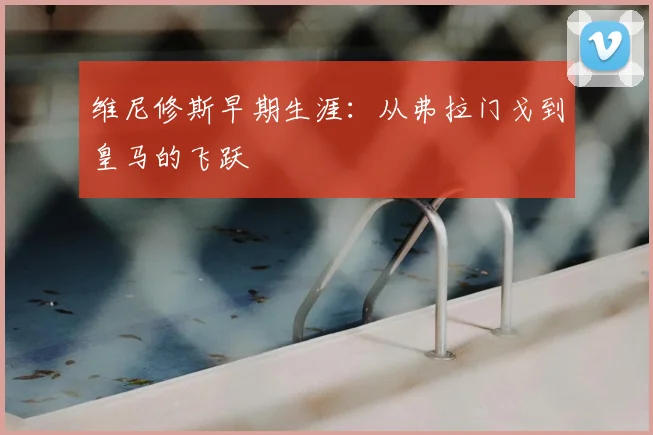 维尼修斯早期生涯:从弗拉门戈到皇马的飞跃