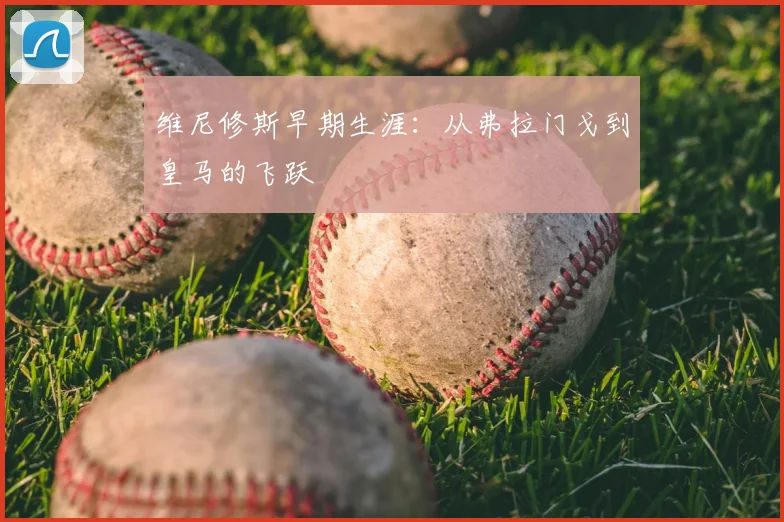 维尼修斯早期生涯:从弗拉门戈到皇马的飞跃