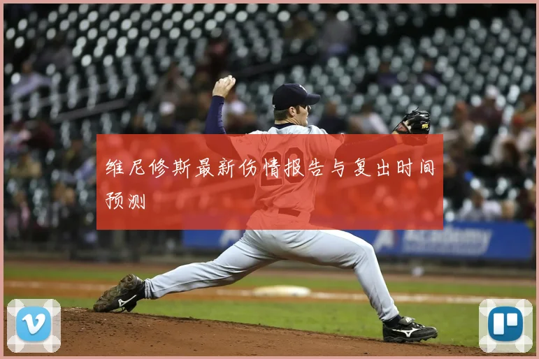 维尼修斯最新伤情报告与复出时间预测